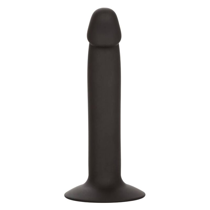 CALEXOTICS - SCHLANKER ANALSTUDENT