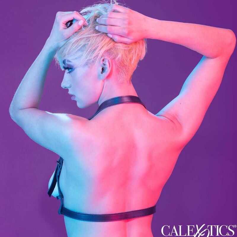 CALEXOTICS - EUPHORIA HALTER BUCKLE HARNESS NERO
