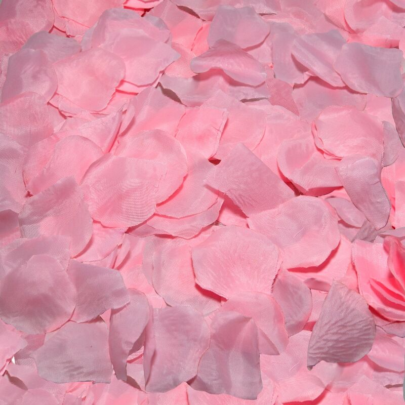SPICY DEVIL - 100 PETALI ROSA