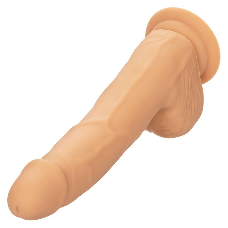 CALEXOTICS - BORCHIE SILICONE 20,32 CM PELLE