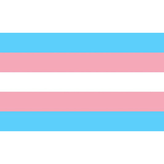 STOLZ - TRANSEXUELLE FLAGGE 90 X 150