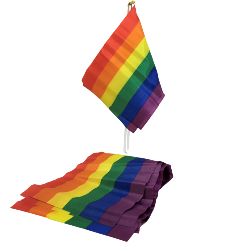 PRIDE - LGBT FLAG SMALL FLAG BANNER