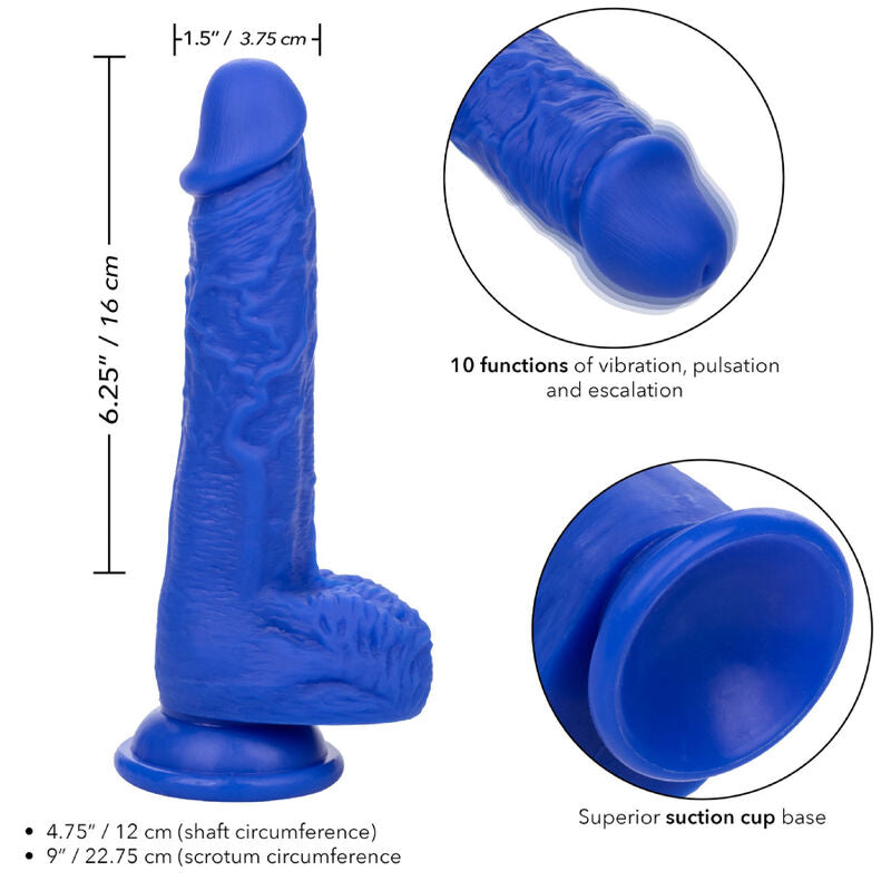 CALEXOTICS - ADMIRAL SAILOR VIBRATORE DILDO REALISTICO BLU