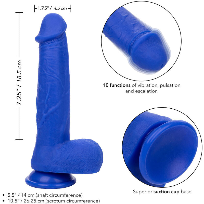 CALEXOTICS - ADMIRAL CAPTAIN REALISTISCHER DILDO-VIBRATOR BLAU