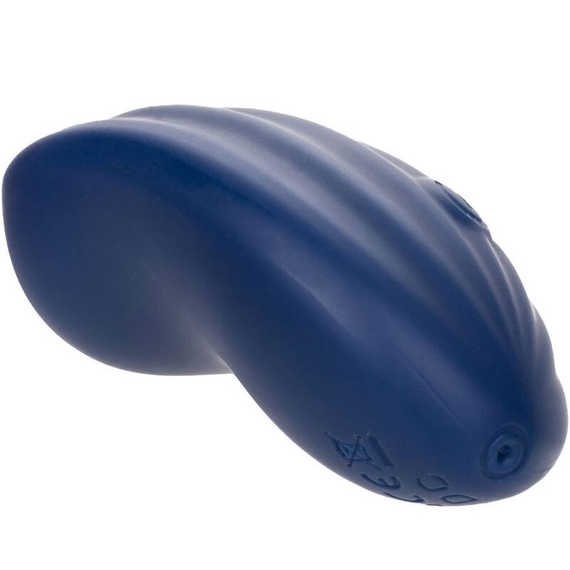 CALEXOTICS - CASHMERE VELVET CURVE BLU