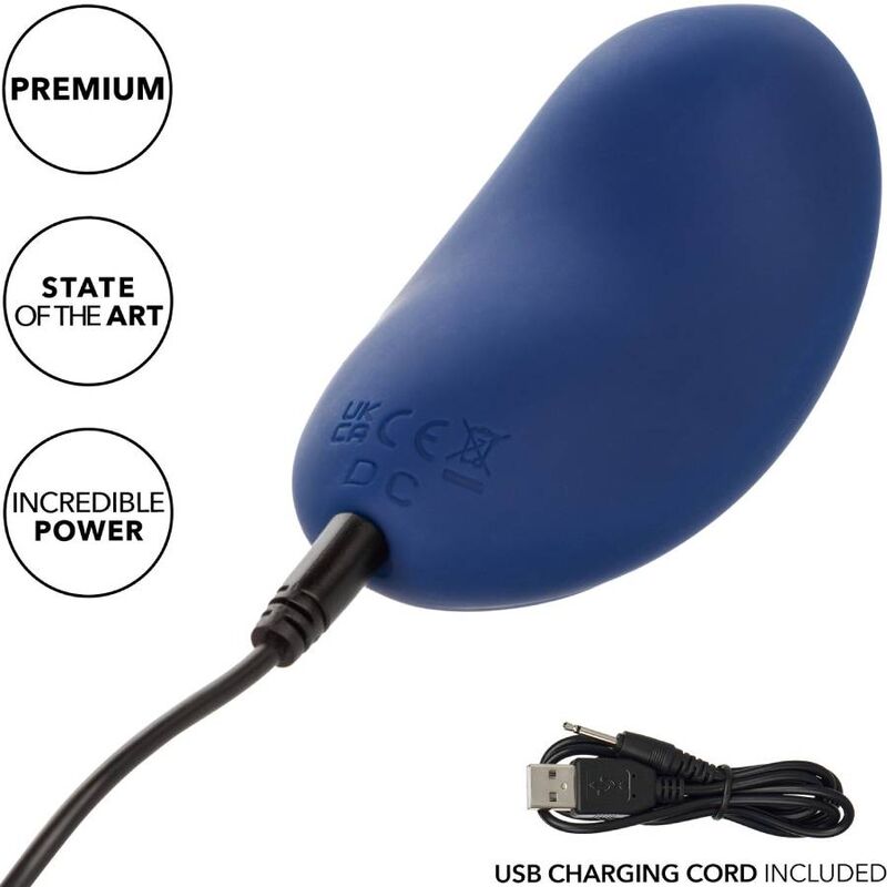 CALEXOTICS - CASHMERE VELVET CURVE BLU