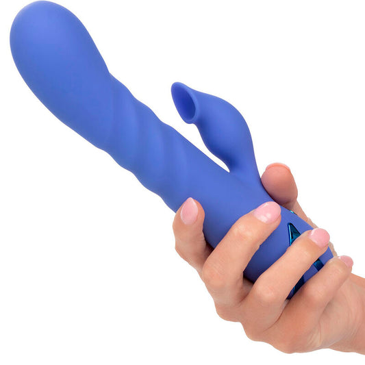 CALEXOTICS - LA LOVE VIBRATOR &amp; SUCKER BLAU VON CALIFORNIA DREAMING