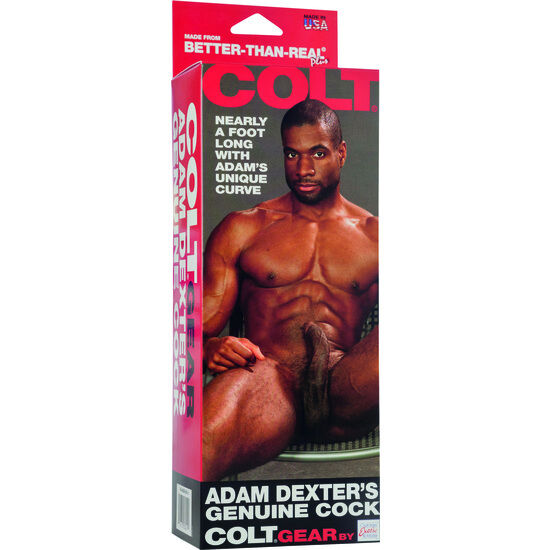 CALEXOTICS - COLT ADAM DEXTERS CAZZO