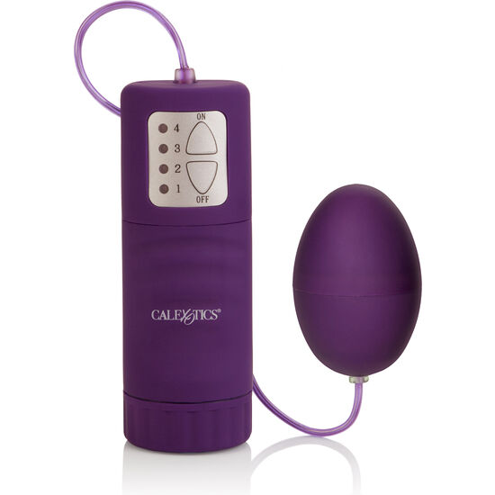 CALIFORNIA EXOTICS - POCKET EXOTICS WATERPROOF EGG PURPLE 4V